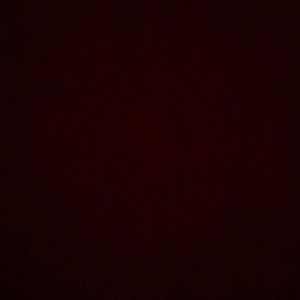 Meet your Posher, Noah